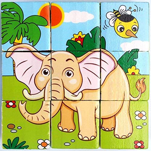 Image of FunBlast 6-in-1 Wooden Block Puzzle for Kids, 9-Pcs Colorful Wooden Block Toy for Kids, Picture Puzzle- Multi Color