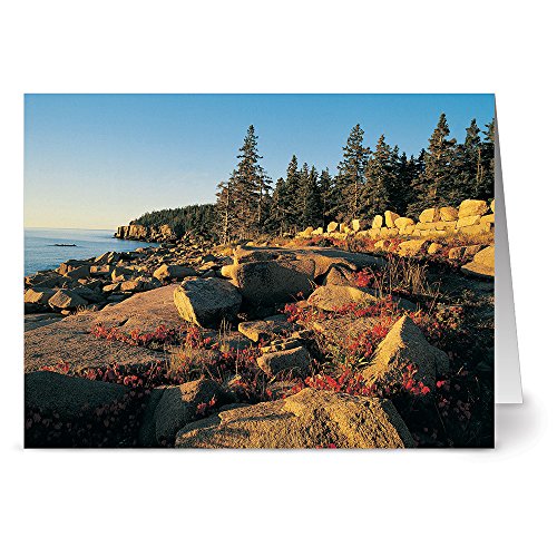 Note Card Cafe All Occasion Greeting Card Set With Envelopes | 72 Pack | Blank Inside, Glossy Finish | 6 Scenic America Designs| Bulk Set For Greeting Cards, Occasions, Birthdays #TOP6