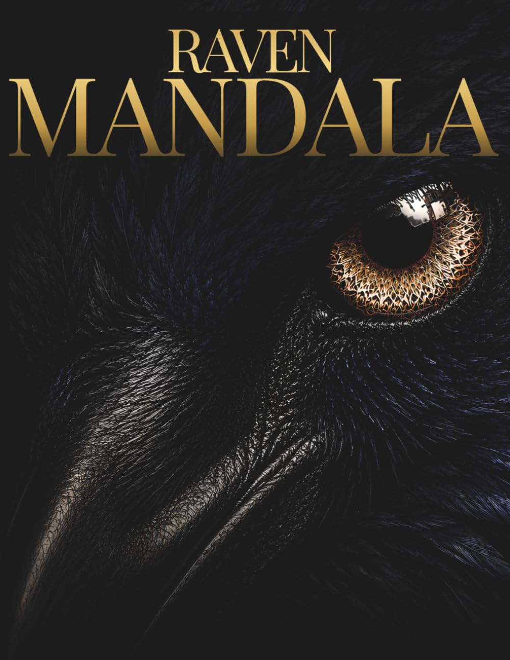 Raven Mandala Coloring Book for Adults: 30 Intricate Raven Mandalas for Stress Relief, Relaxation and Creative Focus (Stillhaven Bird Mandalas Collection)
