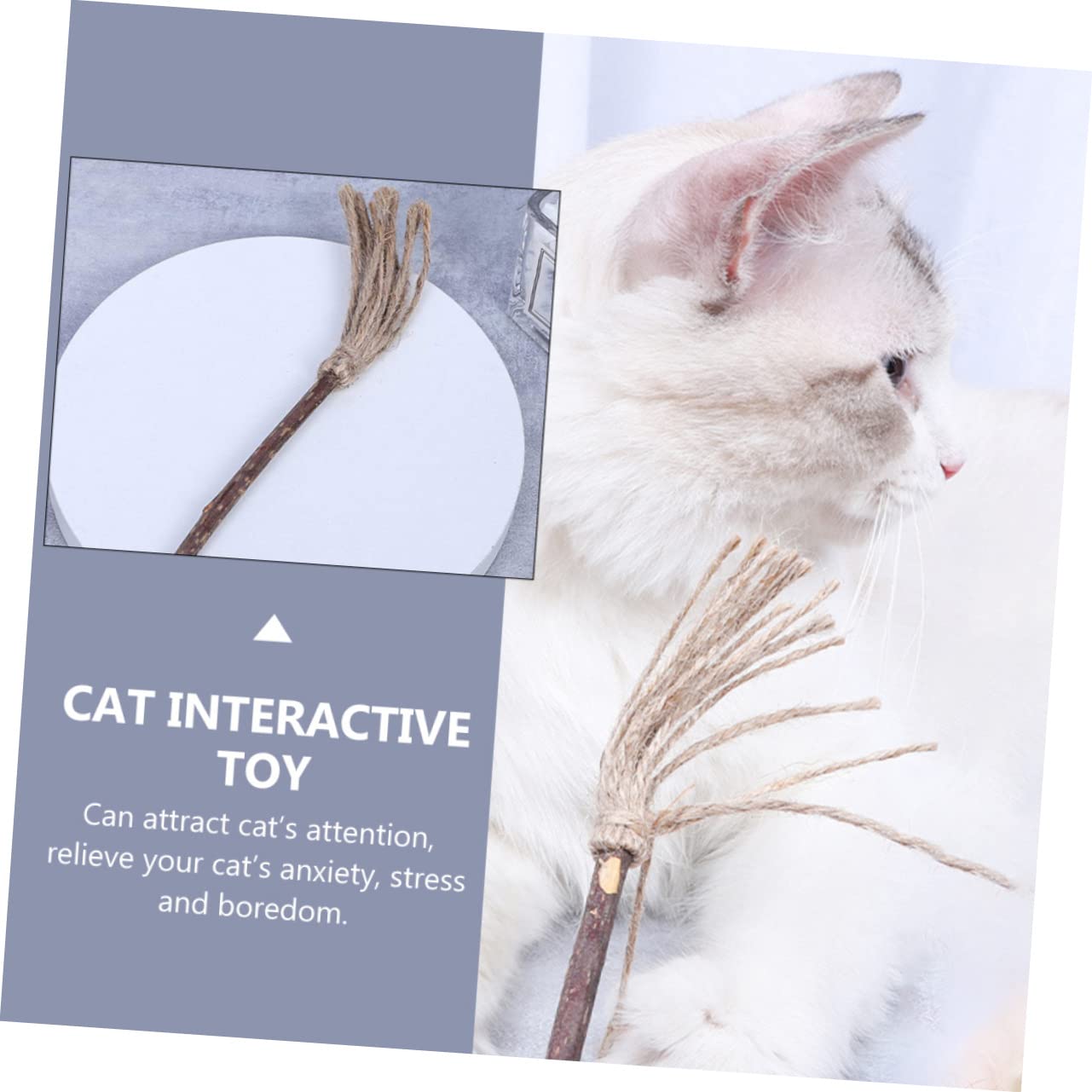 Jouets pour Chats, Lot de 6 Jouets interactifs légers et Portables for Animaux Compagnie, à mâcher, for Chatons Chats