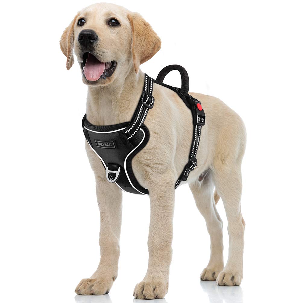 Petacc Dog Harness No-Pull Pet Harness Adjustable Pet Reflective Vest Dog Walking Harness with D-Ring Buckle and Handle for Small Medium Large Dogs