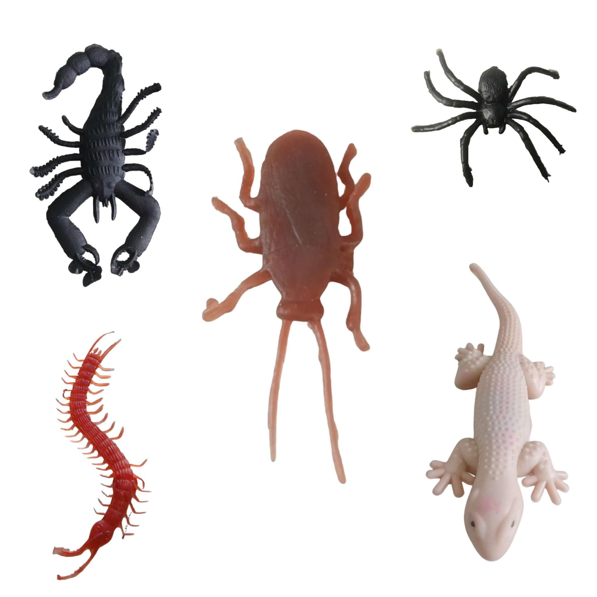 ZOKCY® 5 in 1 (1 Spider (Makaddi) + 1 Cockroach +1 Centipede (Kankhajura) + 1 Real Looking Chikpali + 1 Prank Scorpion (Bichhu)) Prank Toy for Kids/Prank Toy for Kids/ (B0D98BZKC4) Amazon Price History, Amazon Price Tracker