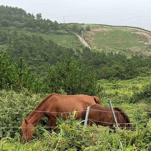 Page de couverture de Songaksan, Jeju, aka Horse Mountain!