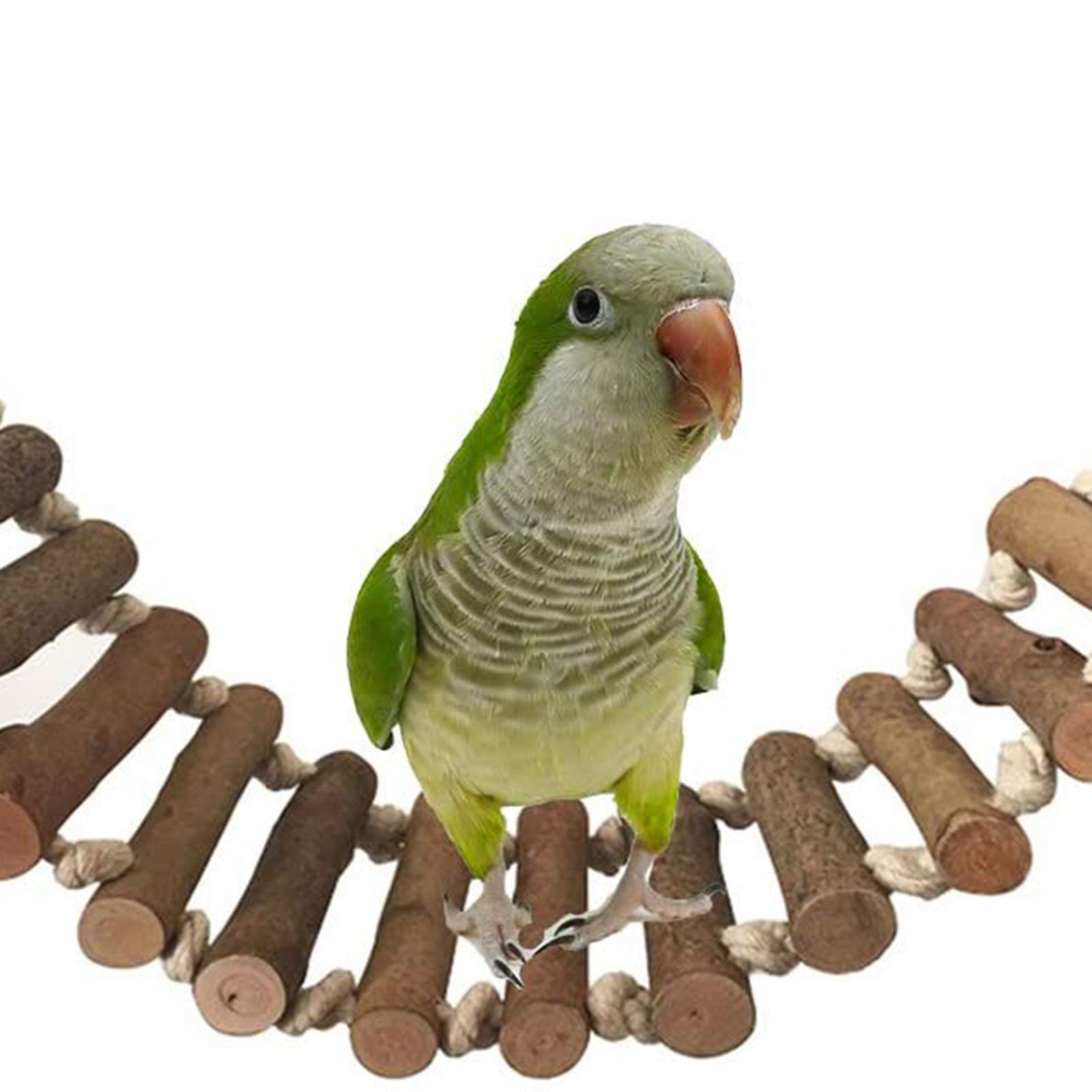 Scaletta Per Pappagalli In Legno - Con Corda, Per Arrampicata E Gioco, Per Uccelli Domestici - Foto 7