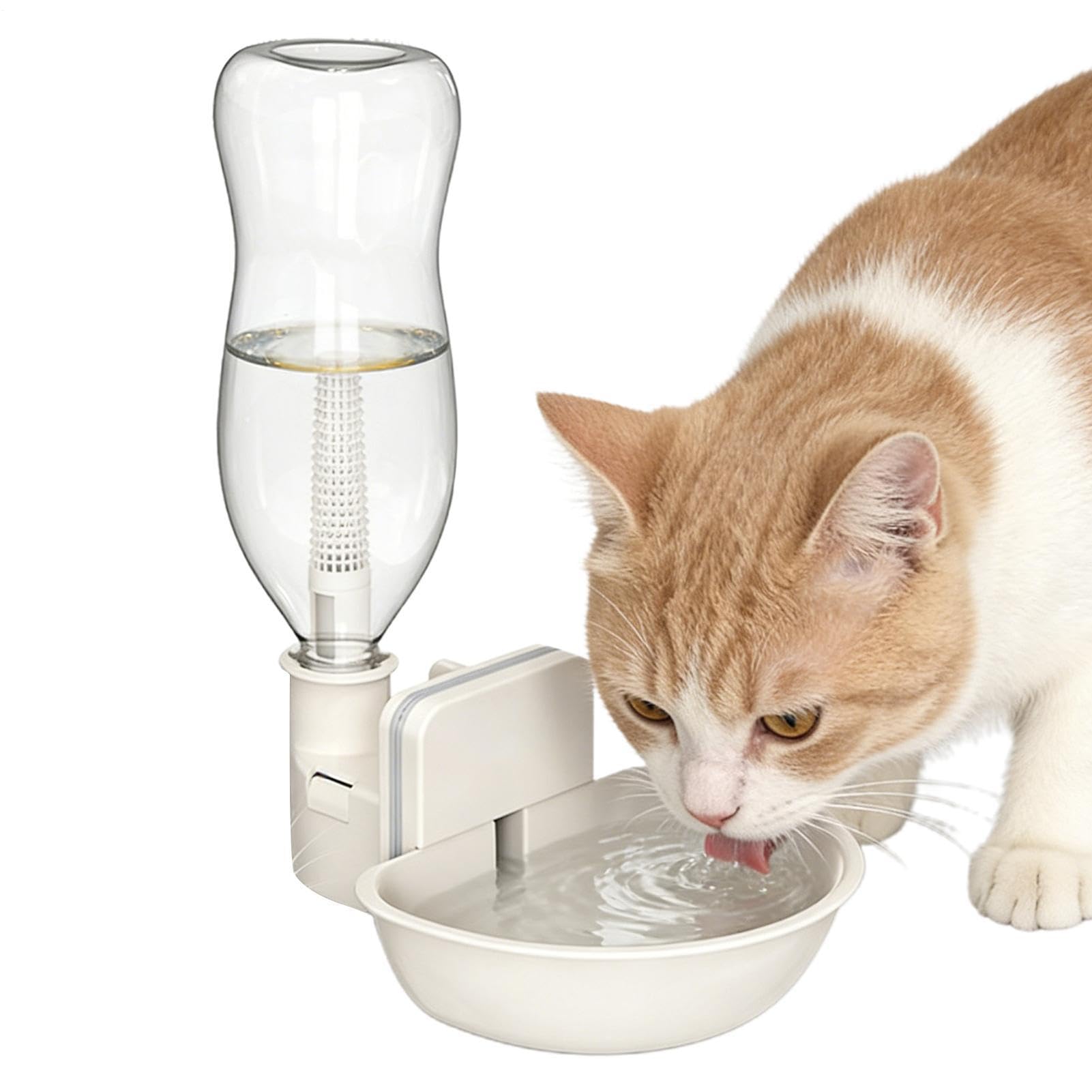 Abreuvoir pour animaux propre en voyage : idéal pour chien, hamster et furet