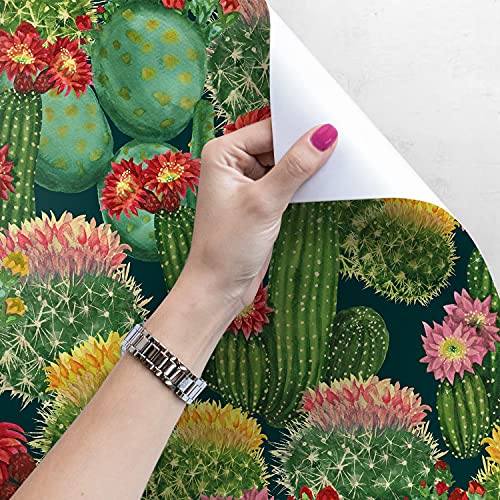 Papier peint lessivable fleurs de cacti 104x70cm rénovation meuble