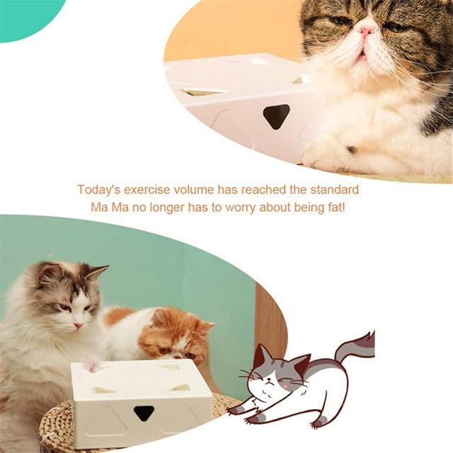 Foto 7 de 8 de Juguete Inteligente Interactivo para Gato, Juguete Interactivo para Gatos con Pluma giratoria