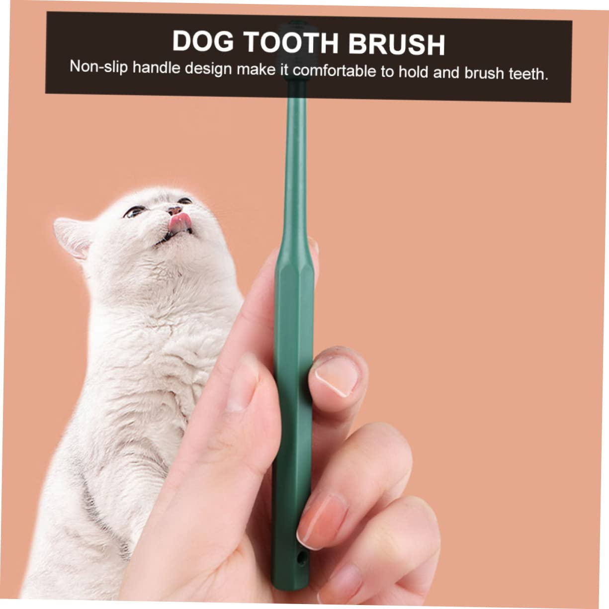 INOOMP 12stücke Handheld Haustierzahnbürste Zahnpflege Für Hunde Und Katzen Ergonomisches Design Wiederverwendbare Kunststoffzahnbürste Zur Gründlichen Mundreinigung