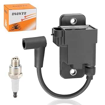 マッシ Amazon.com: Outboard Ignition Coil CDM Module for Mercury