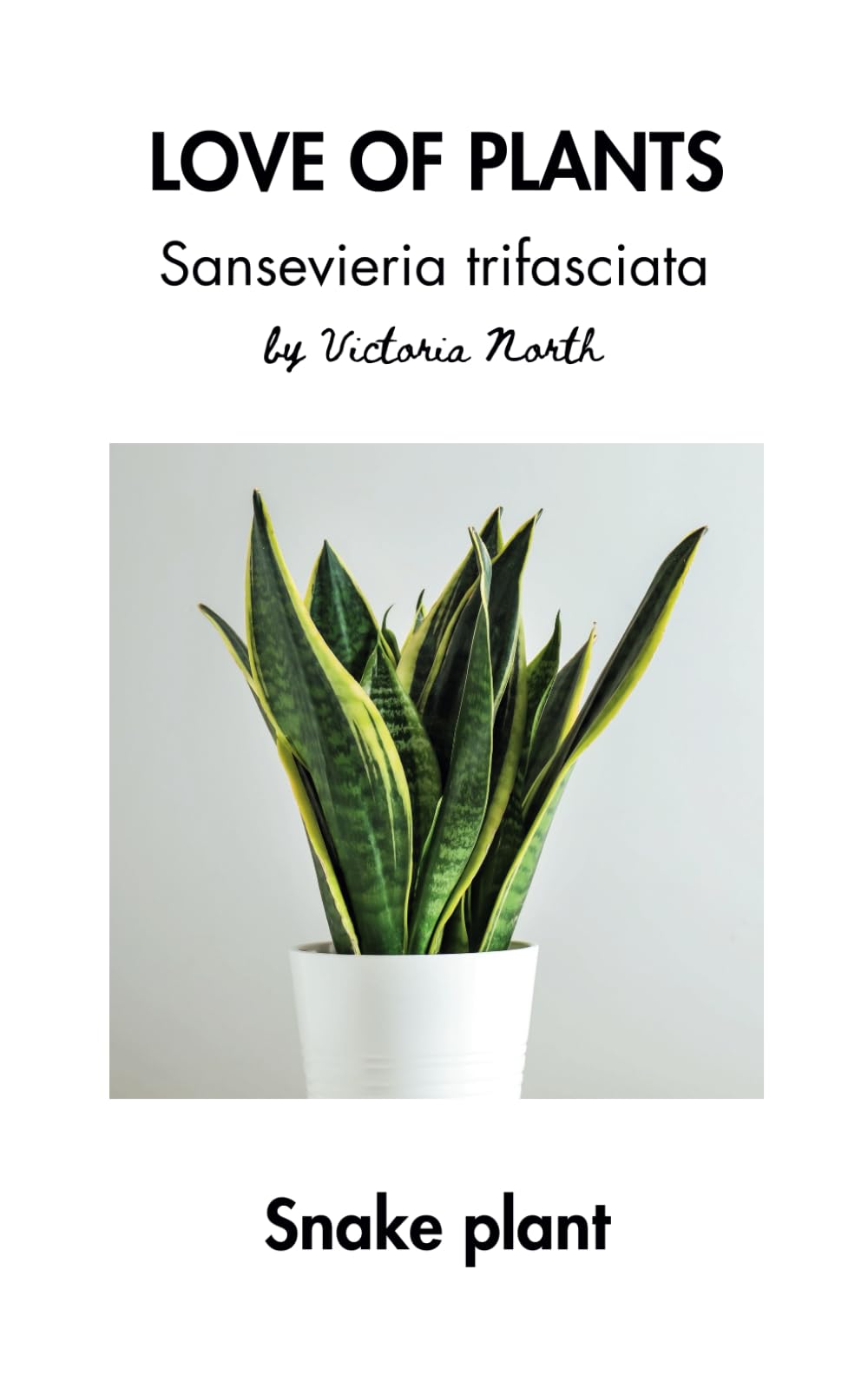 LOVE OF PLANTS: Sansevieria trifasciata: Snake plant (LOVE OF PLANTS: Houseplants)