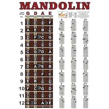 Amazon | マンドリン指図表マンドリンコード表コード練習表