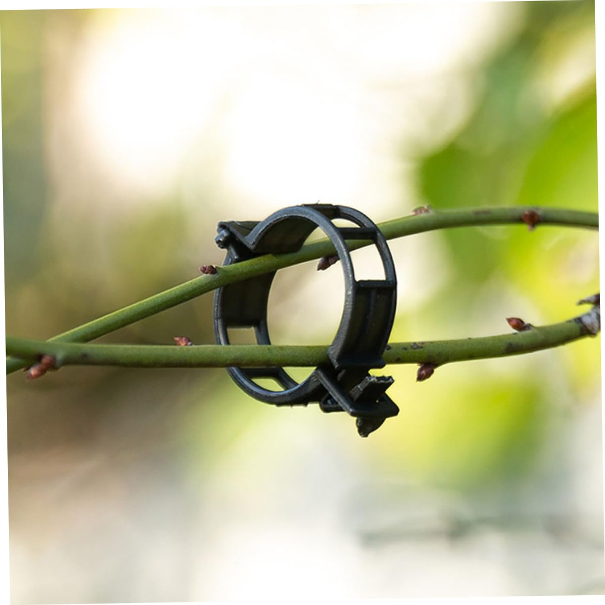 Toyvian 500stücke Pflanzenclips Für Tomaten Flexible Und Wiederverwendbare Klammern Unterstützung Von Und Blumenranken Stabile Materialien Für Gartenprojekte
