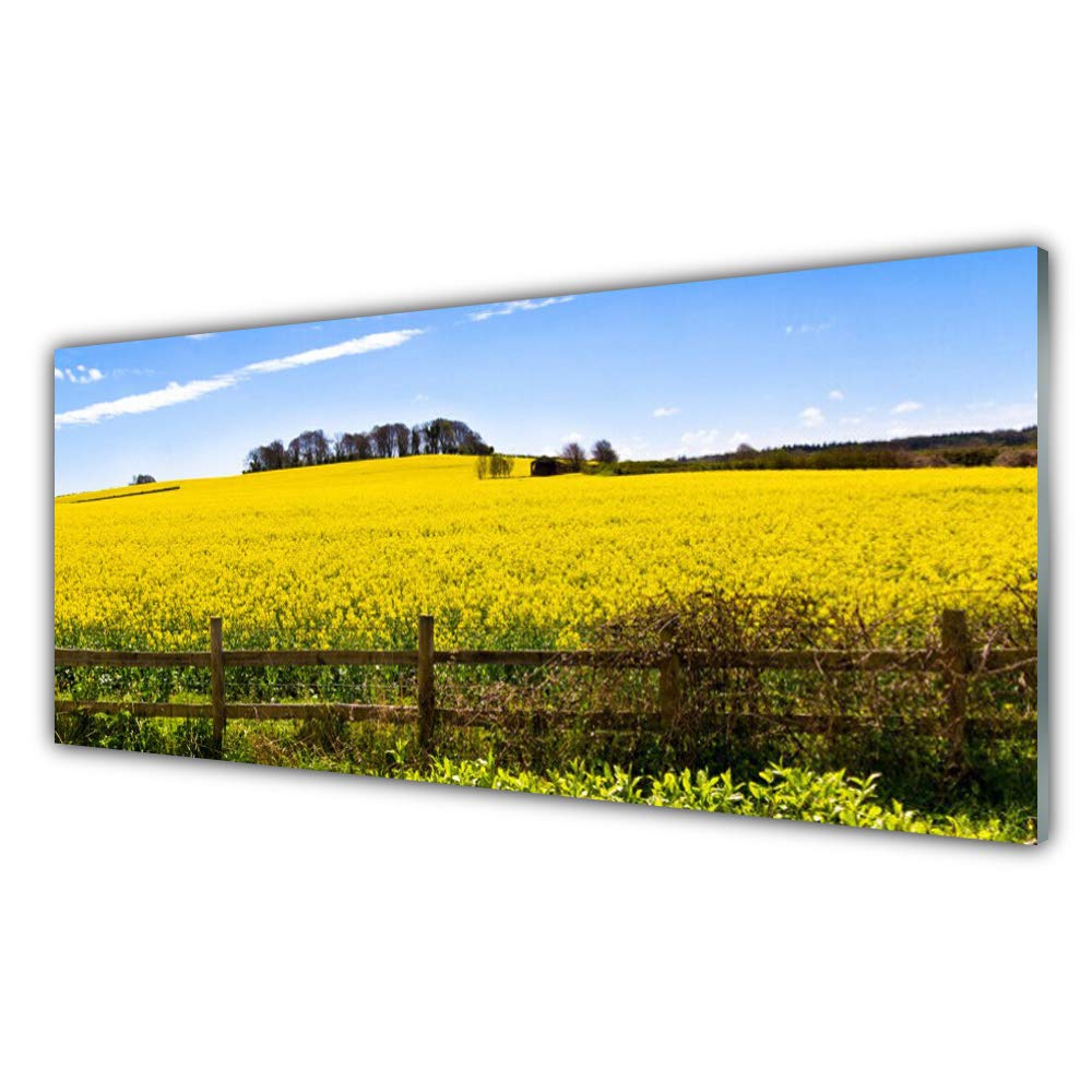 Tableau acrylique 125x50cm paysage de champ incassable pour remplacer les cadres