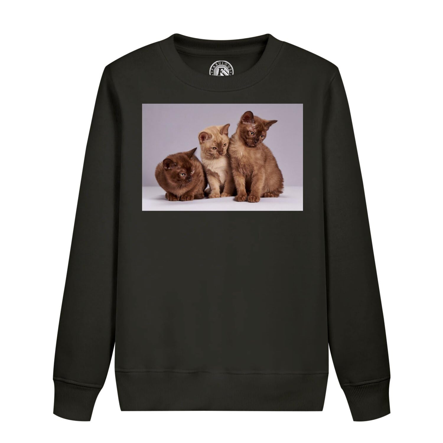 Sweatshirt enfant chat siamois pull bébé persan poils longs mignon