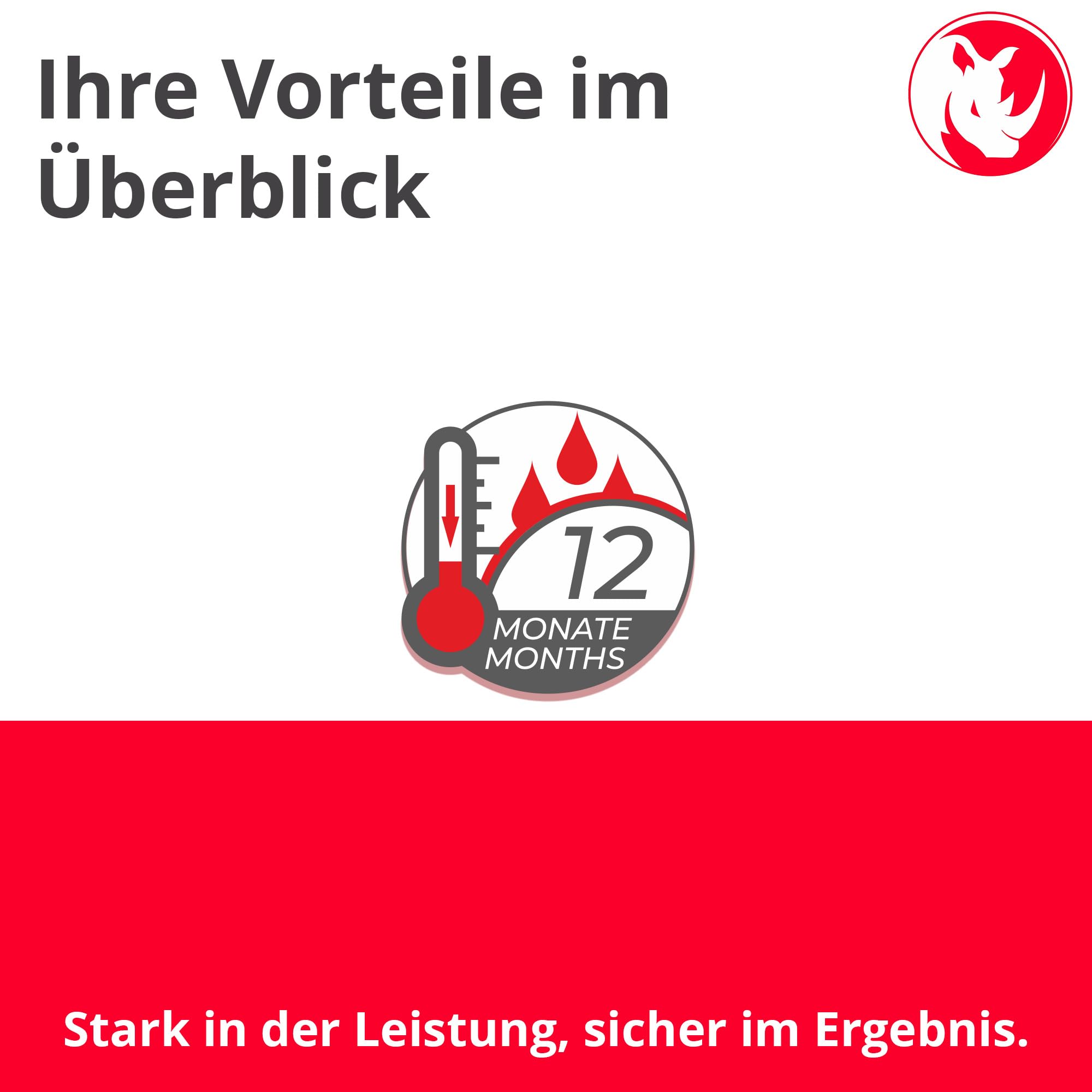 BORNIT Fugenband aus Polymerbitumen, 40m/Karton (40x10 mm) | für dauerhafte Asphaltfugen und Straßensanierung, zur langlebigen Abdichtung im Straßenbau