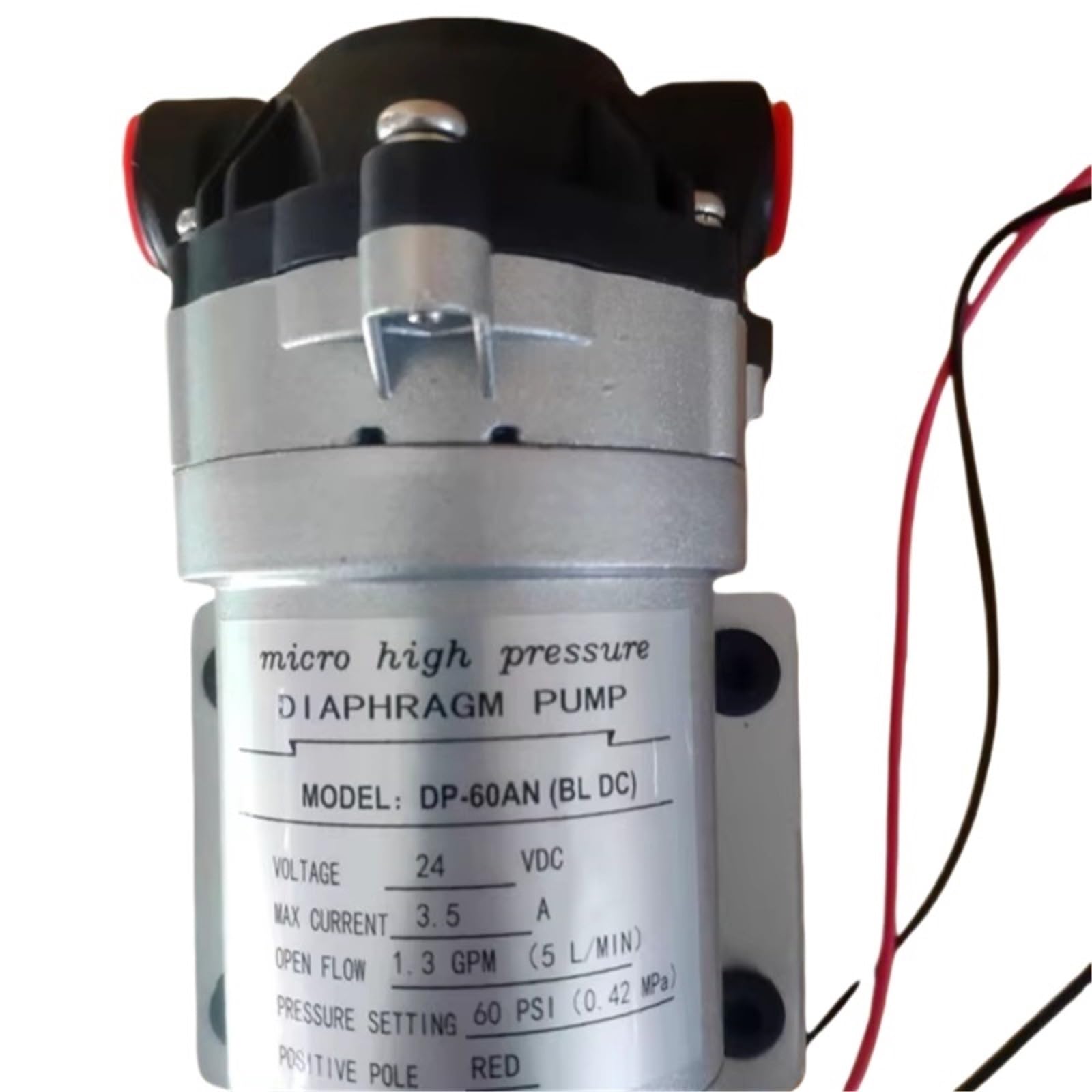 Bomba de diafragma DP-60 de 12 V/24 V con motor sin escobillas(24v With switch)