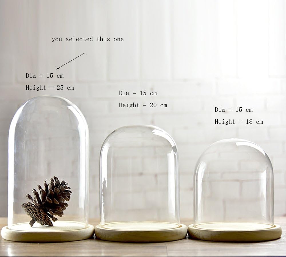 Cloche en verre avec socle VBS, remplissable | Loisirs créatifs VBS Service Hobby