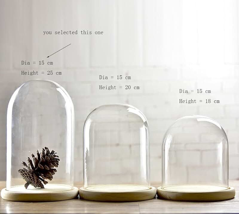 Amazon.co.uk glass domes for display