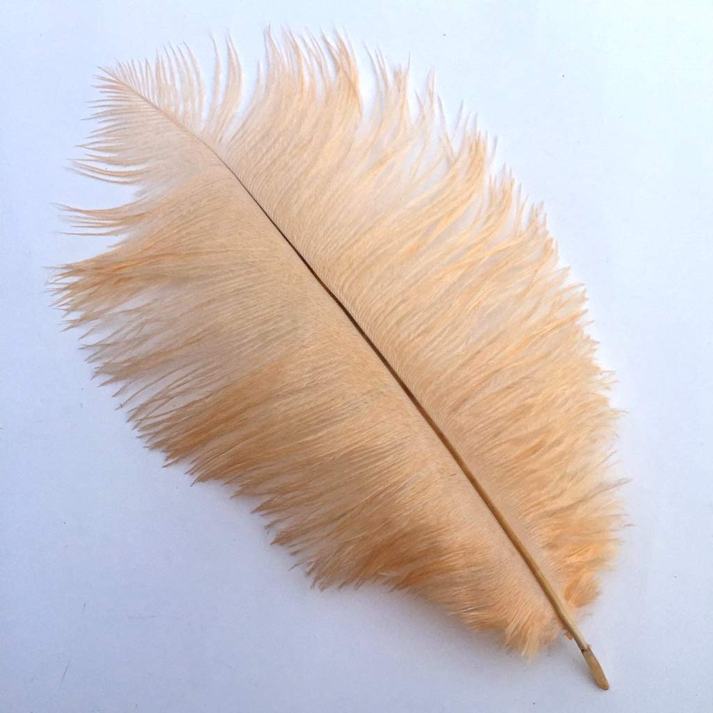 Shekyeon 14-16inch 35-40cm Ostrich Feathers Plumes for Table Decoration Pack of 10(Champagne)