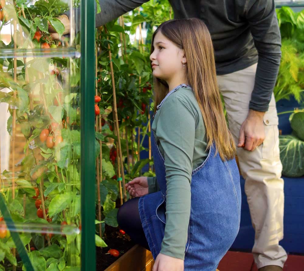Palram Komplett-Set: Gewächshaus Hybrid 208 cm Grün Treibhaus Garten