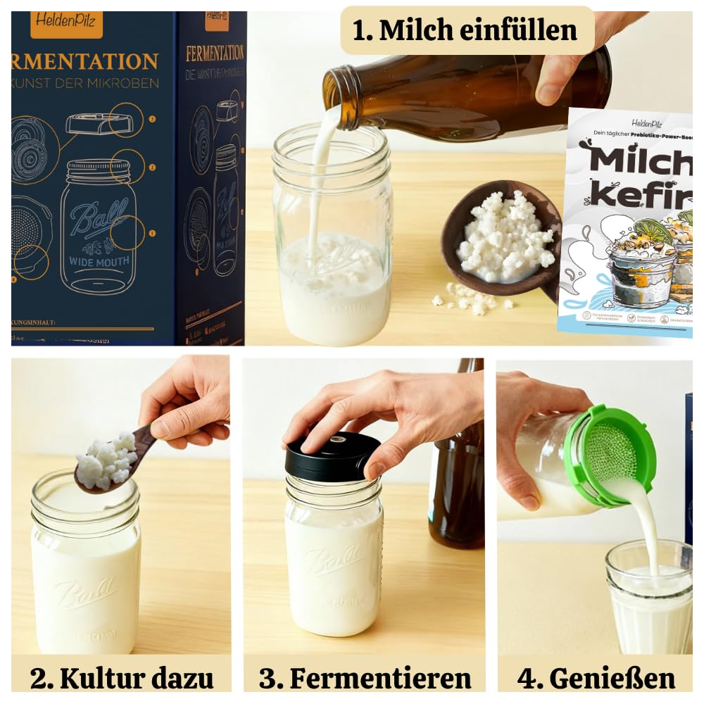 Juego de kéfir de leche orgánica, cultivo inicial, tubérculos de kéfir vivos para fermentación, fabricación sostenible de bricolaje, infinitamente reutilizable