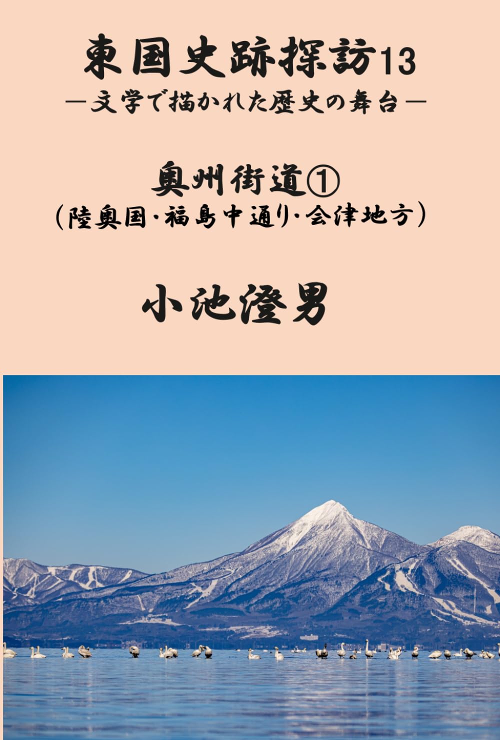 東国史跡探訪13: 文学で描かれた歴史の舞台 (東国史跡探訪)