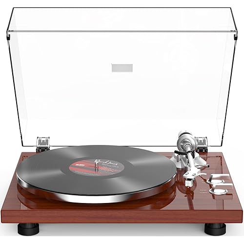 Record Player Turntables for Vinyl Record Belt-Drive Wireless Output Connectivity Phono Line Out USB Digital to PC Recording MM Audio Cartridge Stylus Counterweight Piano Shiny Classic Red