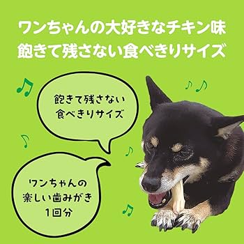 Amazon | ライオン PETKISS Toy発想のデンタルトリーツ スリットブラシ