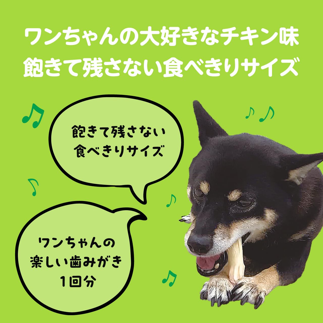 Amazon | ライオン PETKISS Toy発想のデンタルトリーツ スリットブラシ