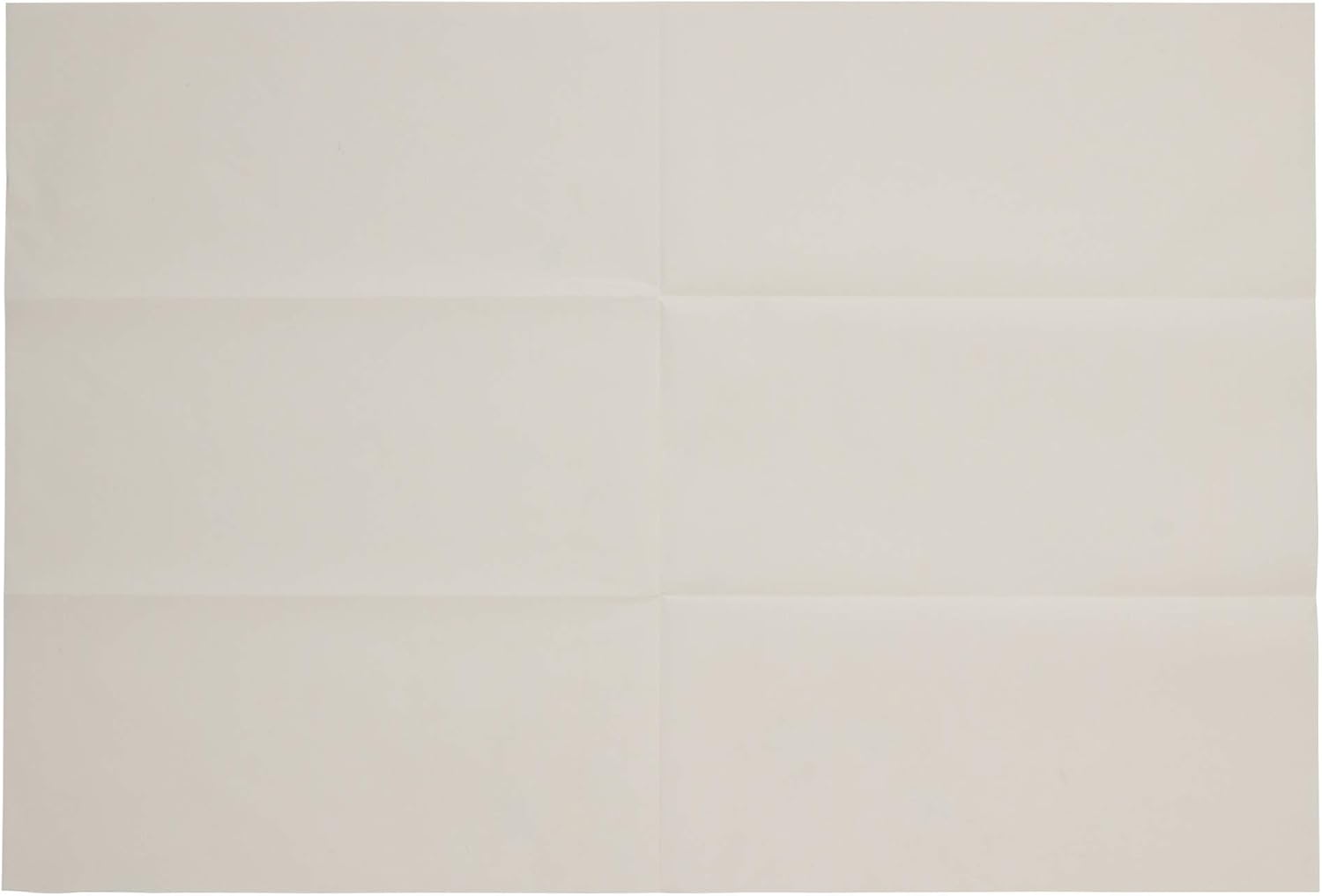 Chaco Paper ME-3 Design Copy Paper Super Chaco Paper for Design, Single Sided Hanger Type, 1 Piece, Width 11.8 x Height 17.3 inches (300 x 440 mm), White