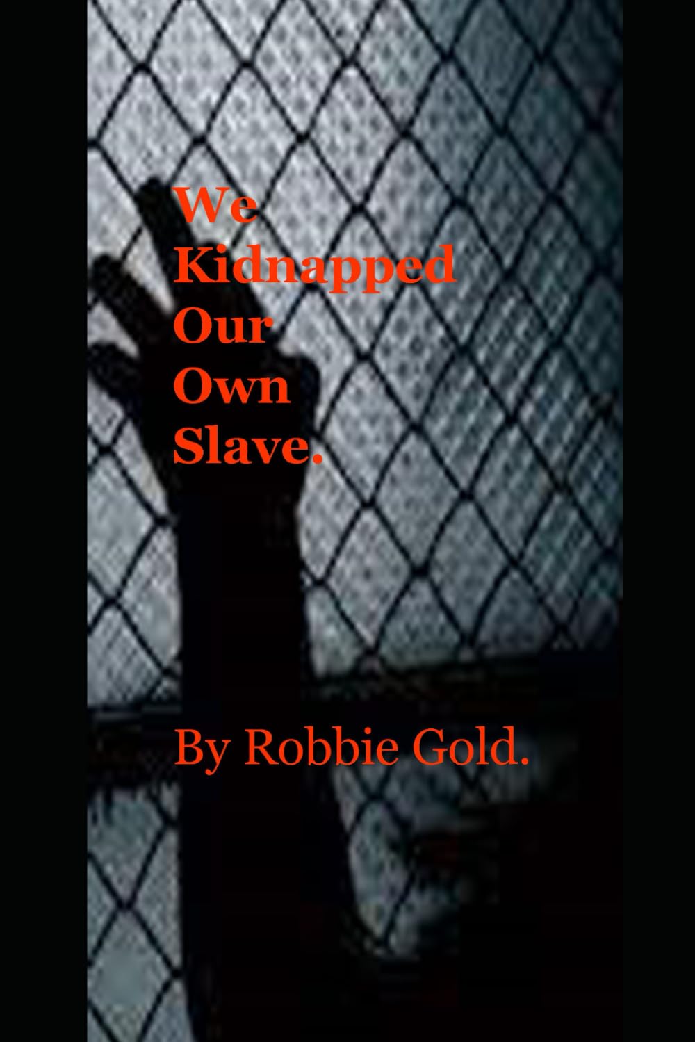 We kidnapped our own slave.