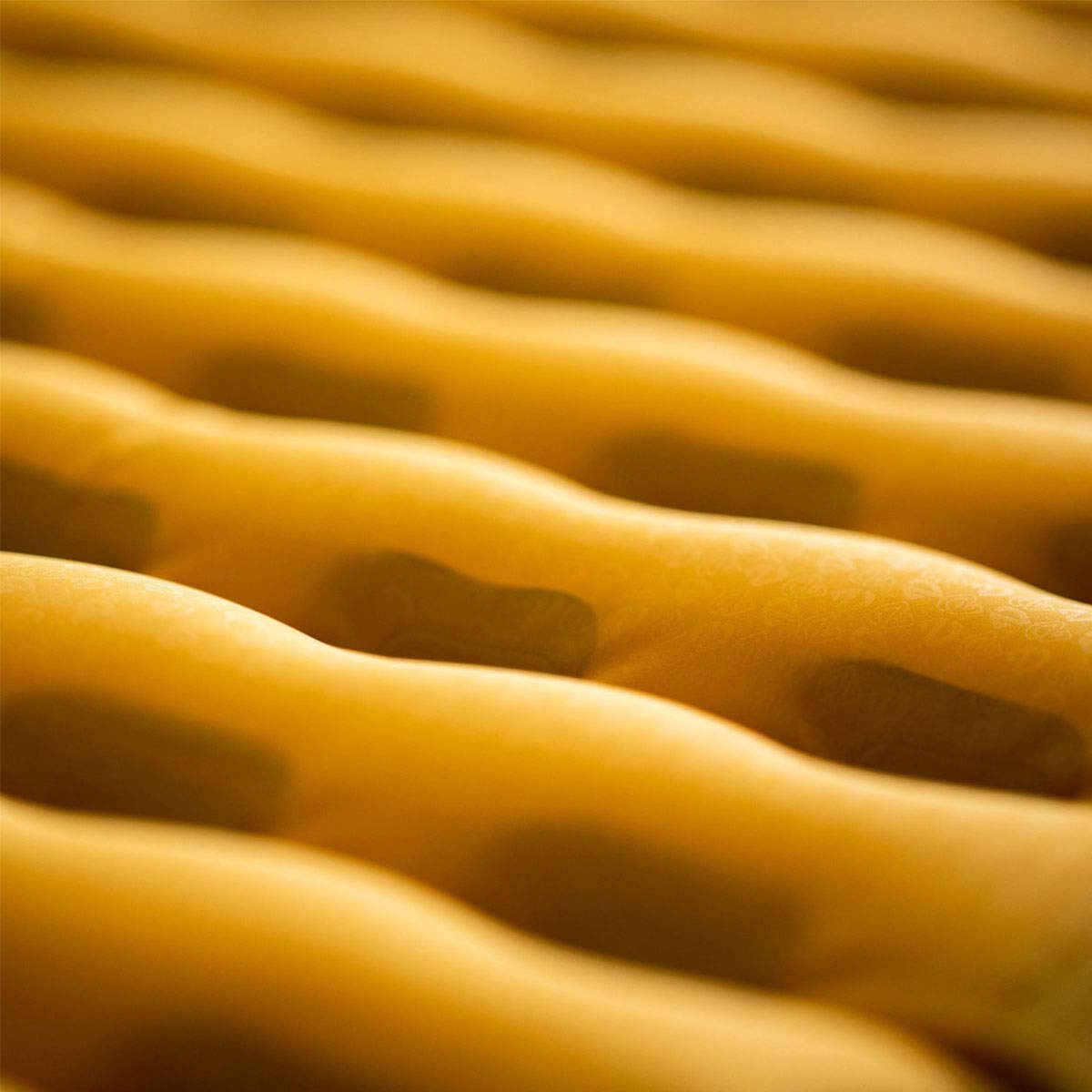 Amazon.co.jp: NEMO (ニーモ) テンサー レギュラー マミー NM-TS-RM