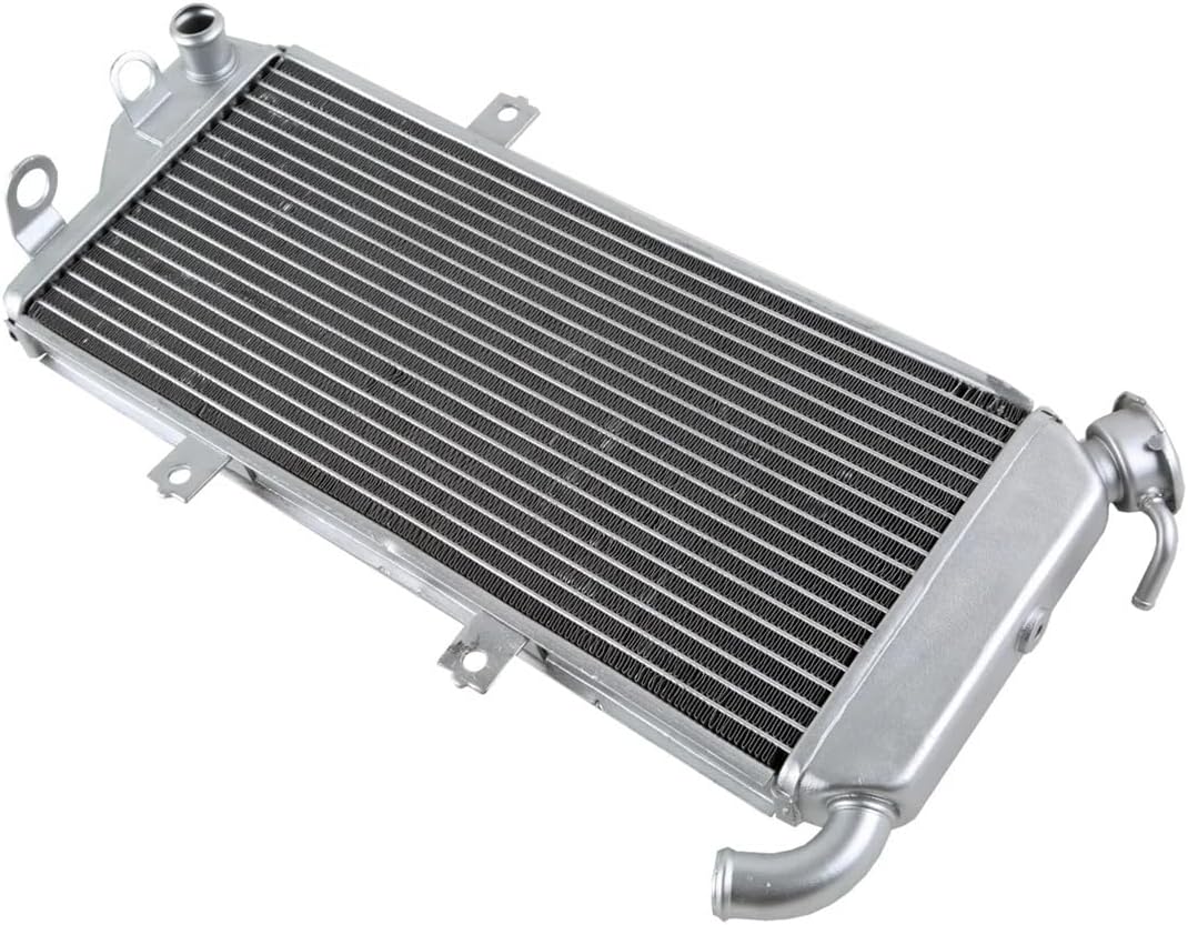 NSR50 mini ラジエーター 未使用 廃盤品 NSR50編 Vol.17 | T-TECH