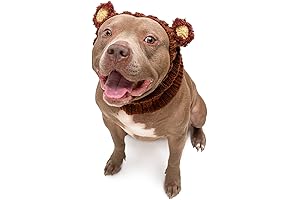 Zoo Snoods Fuzzy Bear Dog Costume