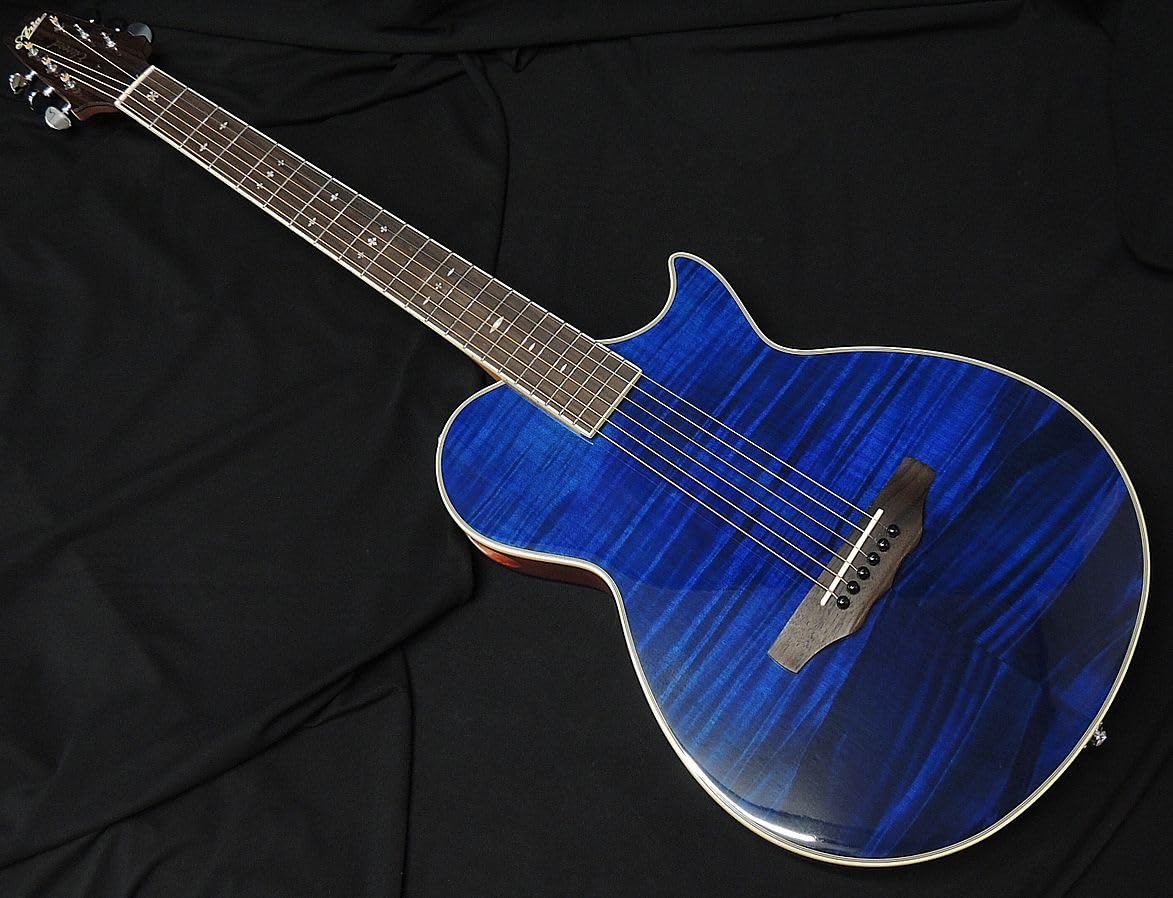 エレアコ Fホール&限定生産カラー エレアコ Fホール&限定カラー 楽天