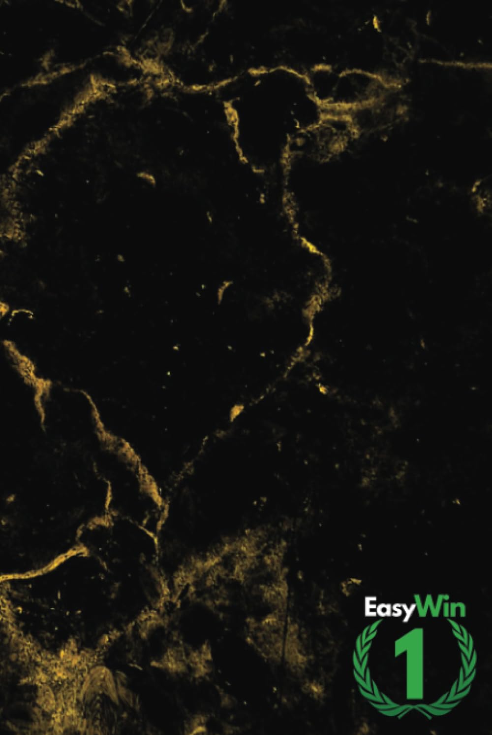 EasyWin Budget Planner for 2 Years , Savings Tracker, Debt Tracker, 6x9 Inches and 98 Pages.