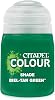 Games Workshop Citadel Shade Paint: Biel-Tan Green 18ml
