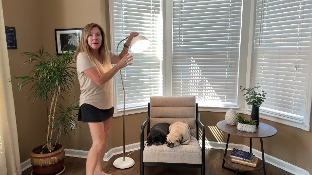 Image of HarvestLand Halo Silver Floor Lamp with Adjustable Head Reading Light