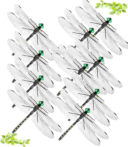 Ij}  14cm ɂ 悯 ͂΂Ij} 悯g{  n` XYo`΍ Ssdl S܌N Ki ނ Lv Ro ƒ؉ O (ΐF-10pcs)