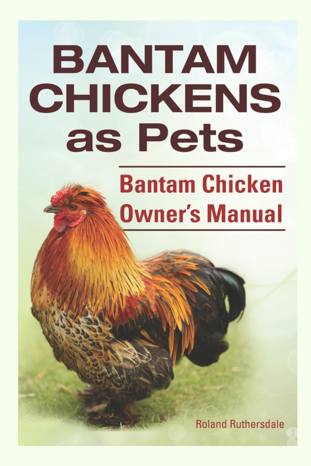 Bantam Chickens as Pets. Bantam Chicken Owner’s Manual.