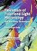 Essentials of Polarized Light Microscopy and Ancillary Techniques