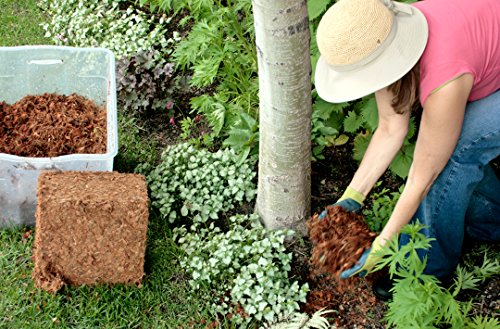 Supermoss 7 59834 23261 2 23261) Coco Mulch, 200 In3 thumb #1