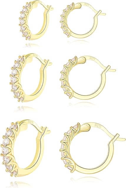 HEEYA 925 Sterling Silver Hoop Earrings for Women Girls, Small Silver/Gold Hoops Earrings, Hypoallergenic Cubic Zirconia Huggies Earrings, Birthday Graduation Gifts with Jewellery Box13/15/20MM