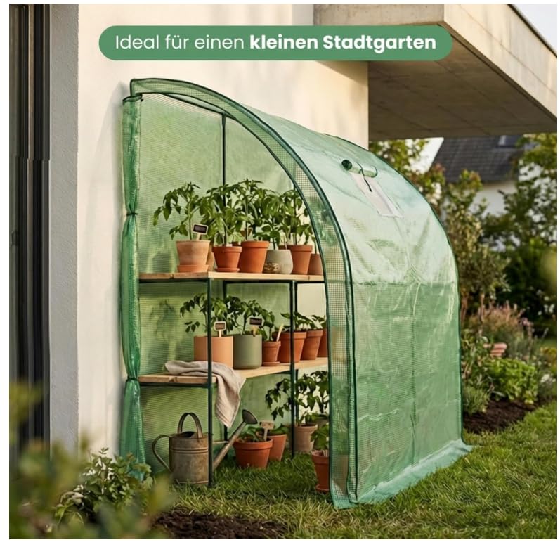 BDW Serra con struttura in metallo e pellicola in polietilene, 100 x 200 x 210 cm, protezione UV, 1 porta e 2 finestre, acciaio verniciato a polvere (verde)