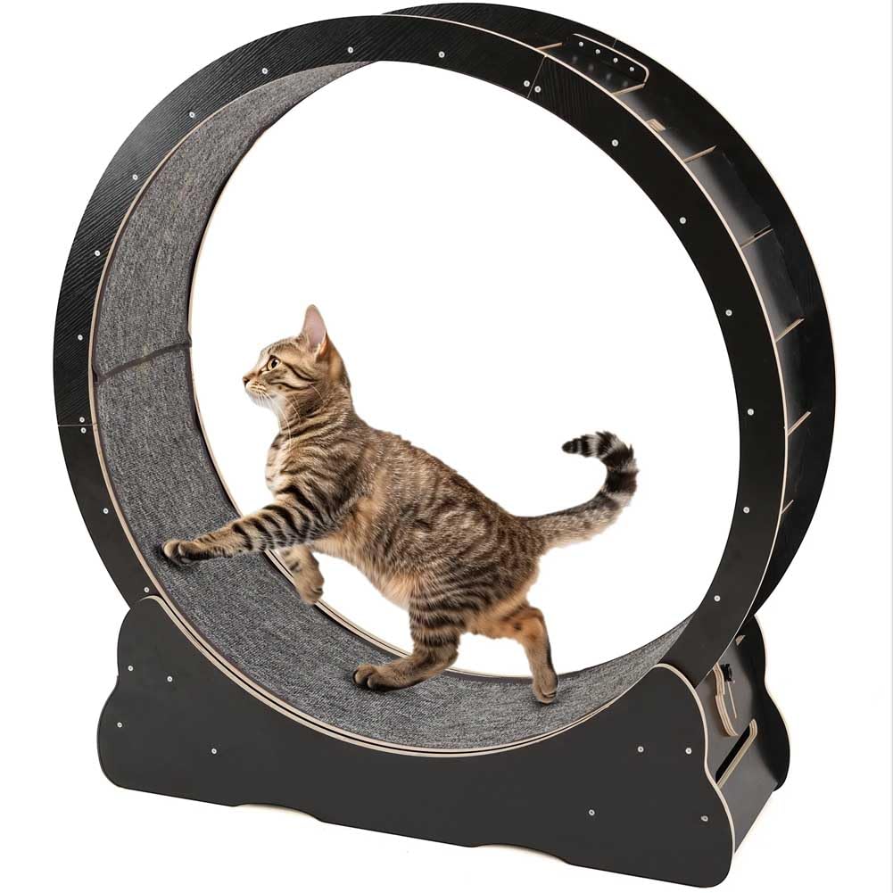 Cat Exercise Wheel Large Cat Treadmill for Indoor Cats with Two-Sided Replaceable Carpeted Runway, Corrugated Cat Wheel for Cat's Health and Fitness