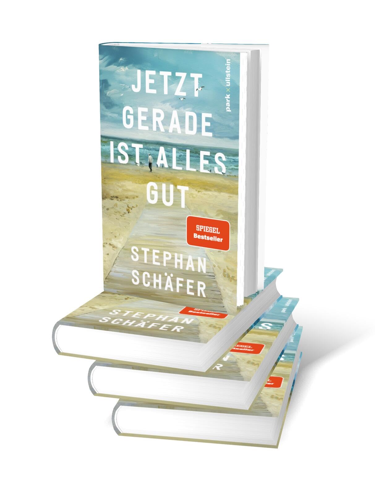 Jetzt gerade ist alles gut: Nach dem SPIEGEL-Bestseller "25 letzte Sommer" - der neue Roman von Erfolgsautor Stephan Schäfer