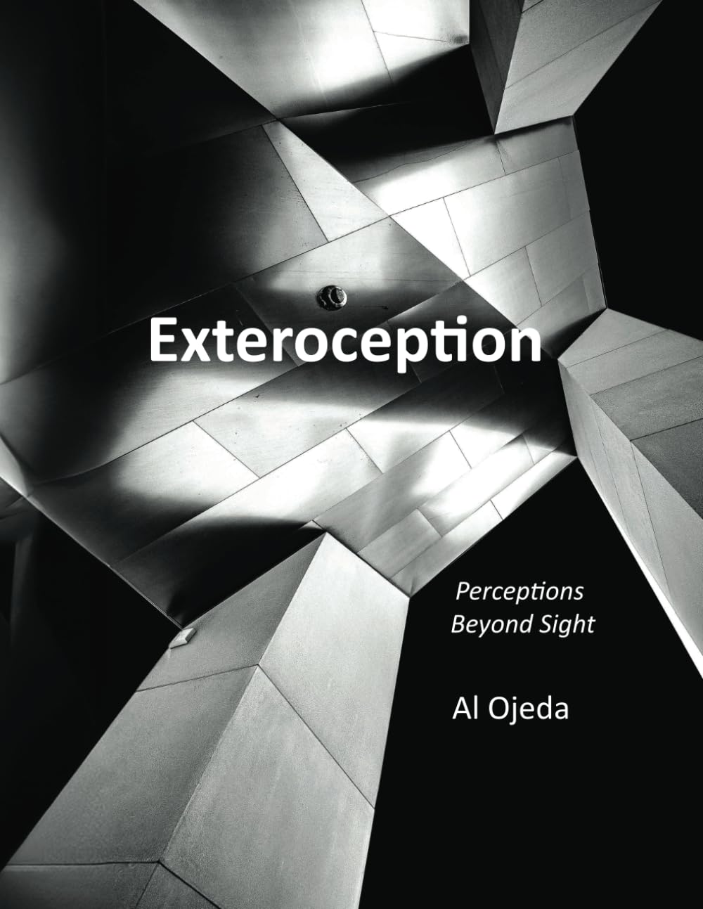 Exteroception Perceptions Beyond Sight essai neurosciences cognition et esprit