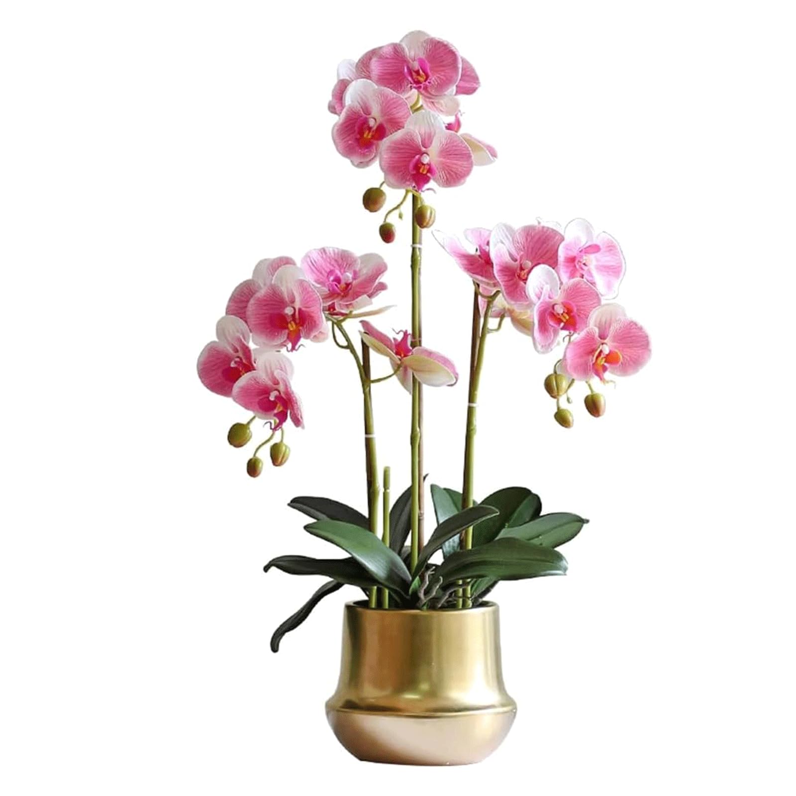 DFGHNBVC Artificial Orchid Artificial Flower Silk Faux Orchids Plating Golden Ceramics Vase Artificial Phalaenopsis Flowers 25.5 Inch Artificial Orchid Very Natural.Pink