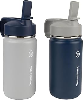 Thermoflask Kids Double Wall Vacuum Insulated Stainless Steel (Grey/Navy)