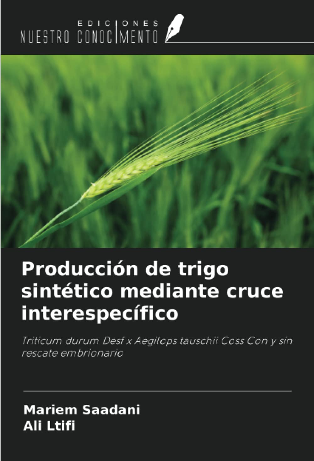 Producción de trigo sintético mediante cruce interespecífico: Triticum durum Desf x Aegilops tauschii Coss Con y sin rescate embrionario